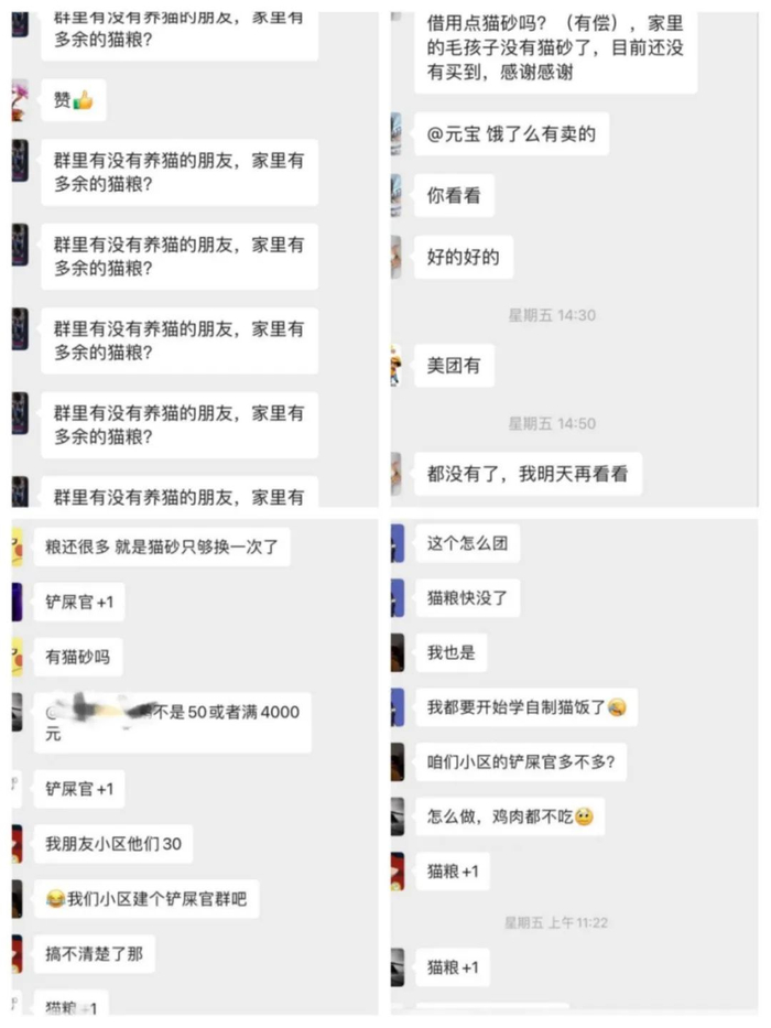 波奇宠物社群宠主聊天内容