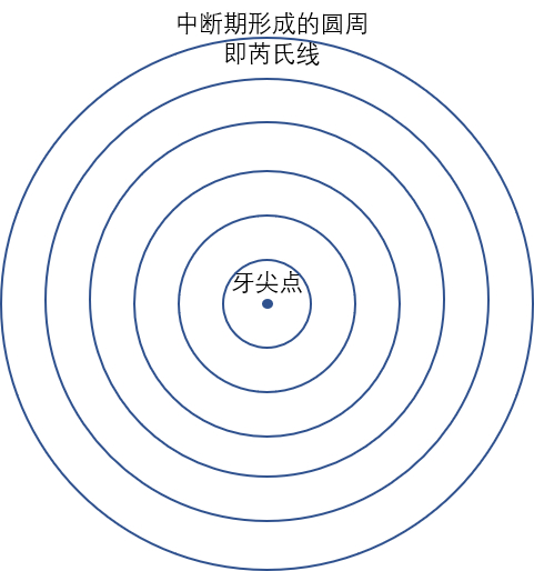 横断面视角下的理想化芮氏线丨作者供图