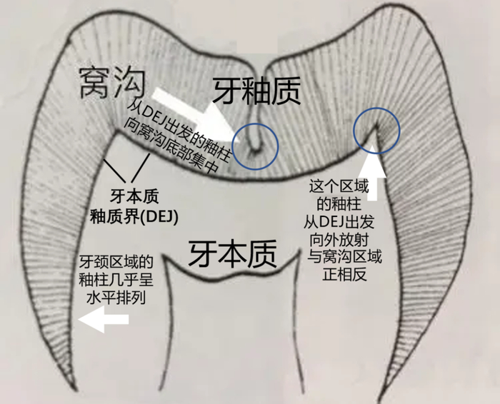 不同区域釉柱的不同排列方式丨作者供图