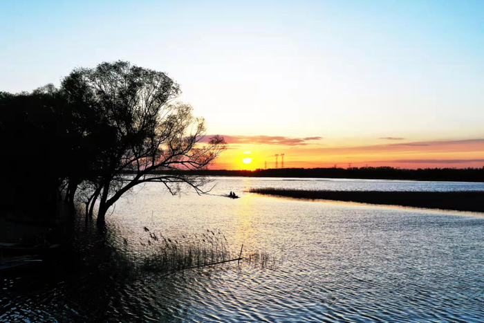 河北省文安县赵王新河湿地公园一角。魏东摄