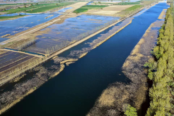 河北省文安县赵王新河鸟瞰图。魏东摄