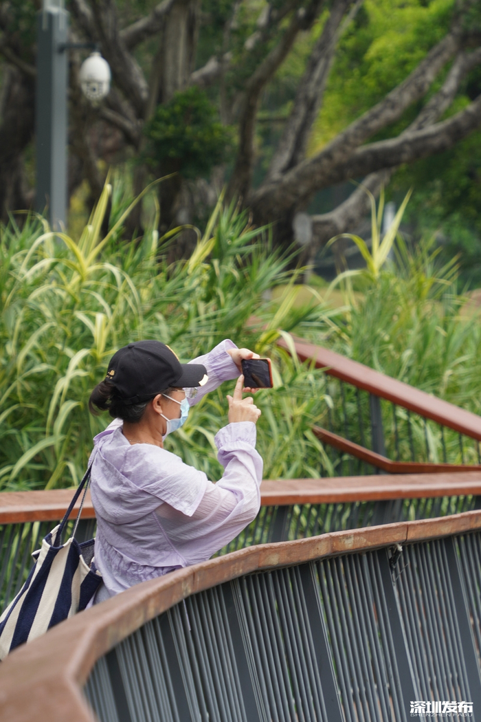 “在四海公园，与春天撞个满怀”