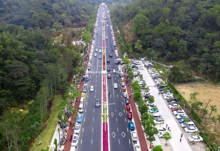 江门日报记者 周华东 摄