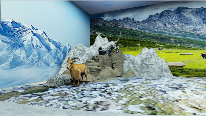 　　“探秘雪域高原之王——雪豹”展区
