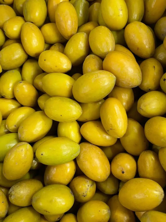 三捻橄榄（来源：邱绍杰）