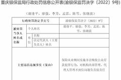 新华保险重庆6名从业者非法吸收公众存款 被终身禁业
