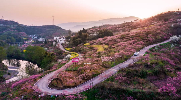 开州美丽的乡村公路。王晓宇/摄