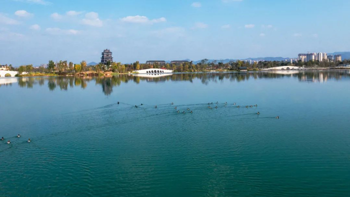 龙泉驿区的东安湖体育公园里碧水荡漾、水鸟嬉戏。站在这里往东看，视野辽阔，龙泉山与城市融为一体。摄影/嘉楠