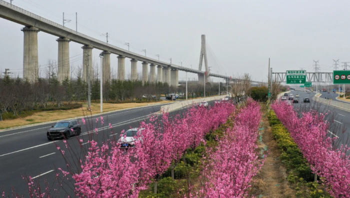 资料图 马健 摄