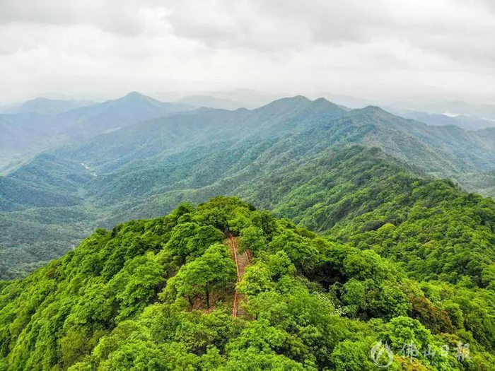  皂幕山旅游风景区内，升级改造的登山步道。洪海/摄