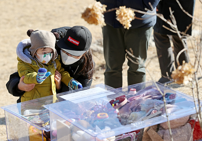 韩国民众在郑仁墓前悼念（资料图）