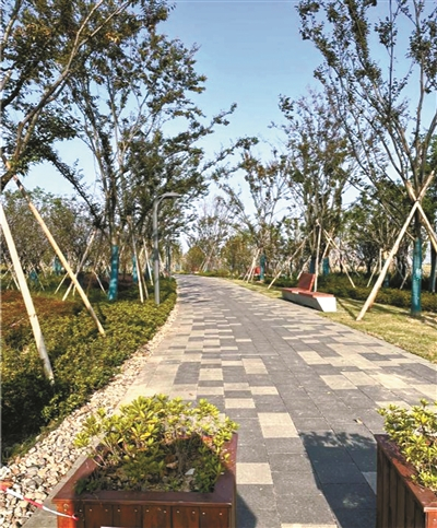     甬江南岸滨江绿道