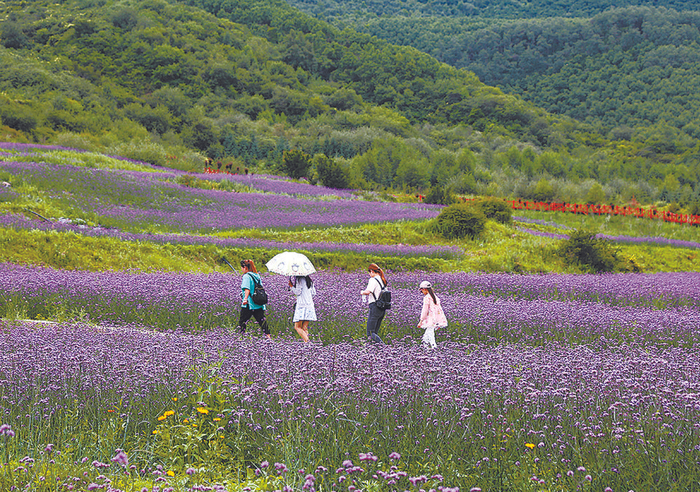 游客沉醉青山花海间。本报记者 李庆玲 摄