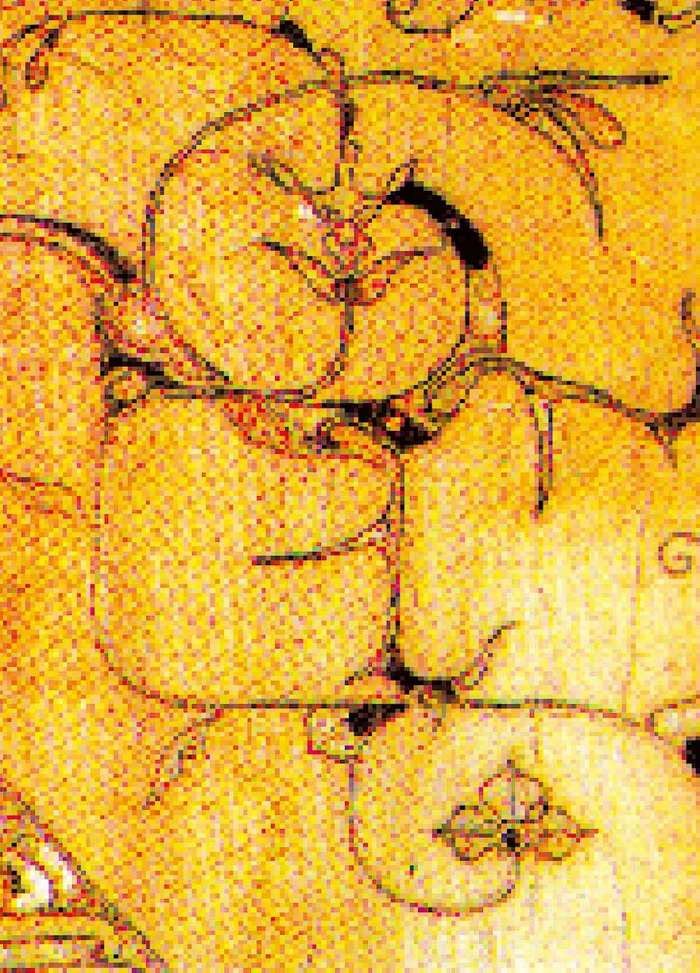 对龙对凤纹中的龙纹