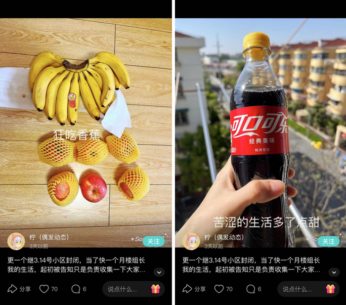　　Souler@柠不断得到楼里邻居的投喂