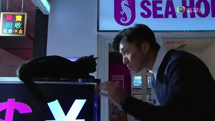 ▲剧中经常出现的黑猫