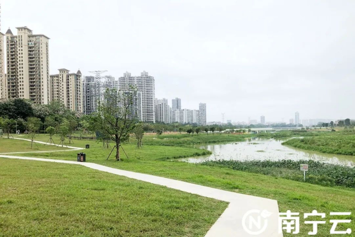 改造提升后的明月湖公园为市民休闲娱乐再添一个好去处。记者 冼慧莹 摄