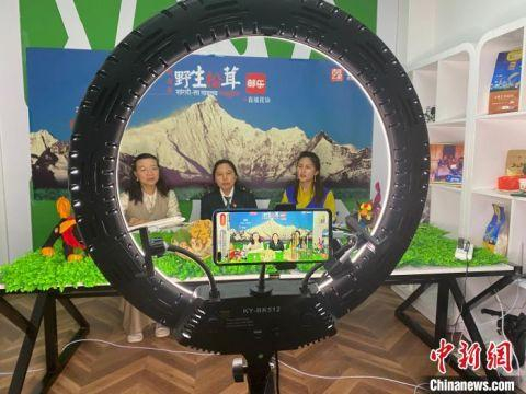 图为尼玛拉木直播带货现场。　中国邮政集团有限公司迪庆州分公司供图