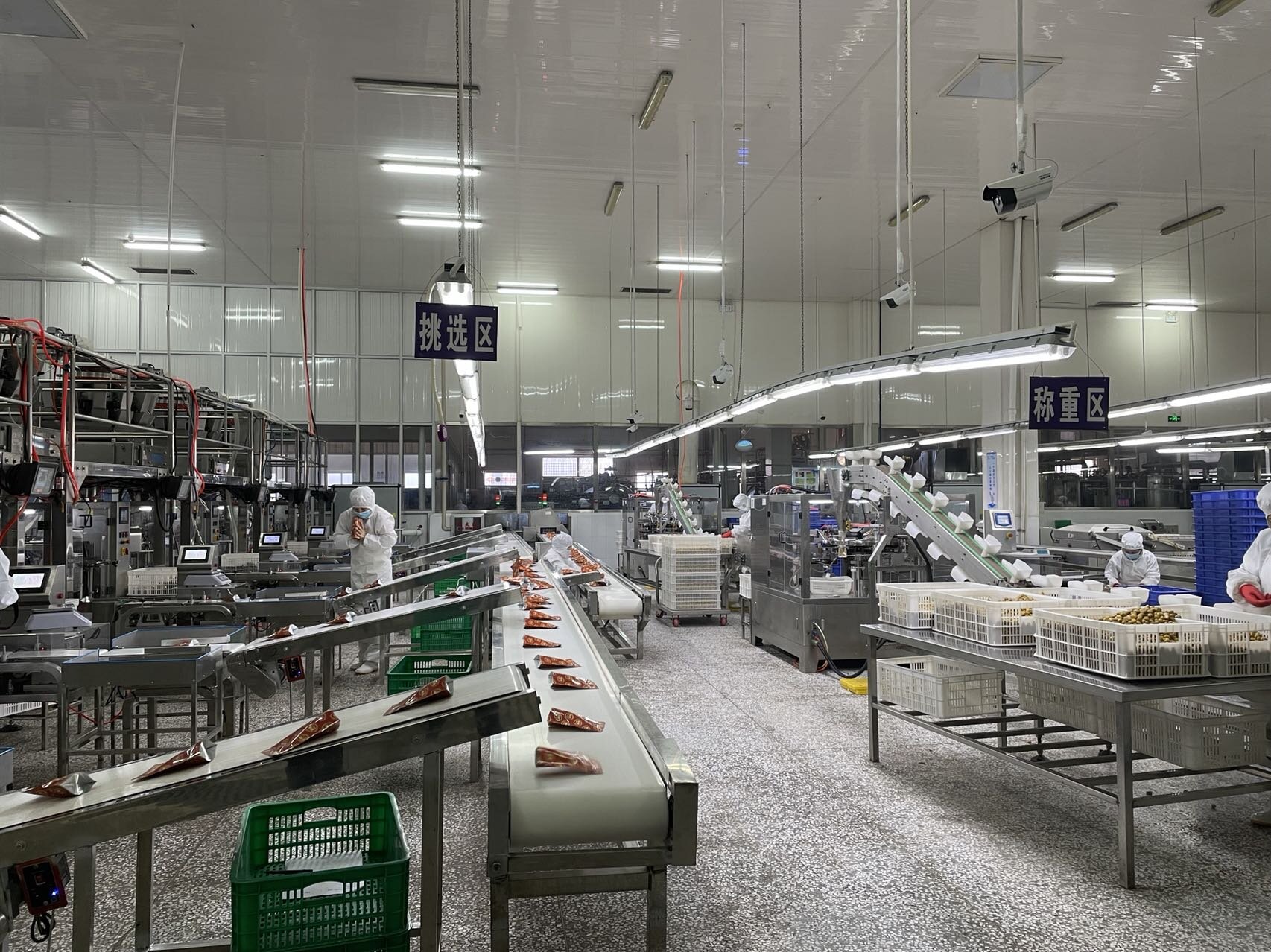 神栗食品有限公司多条板栗精深加工生产线同时运转。王思明摄