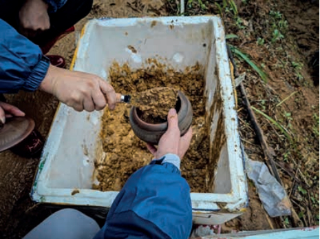 　　3月24日，广西梧州藤县，“3·21”东航MU5735航空器飞行事故现场，乘客家属用陶罐装现场泥土回家。图/中新