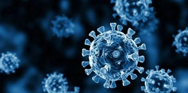 　　BA.2亚型毒株概述图