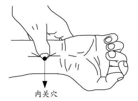 图源/家庭医生出品操作：分别用拇指在两侧内关穴点揉1分钟即可。