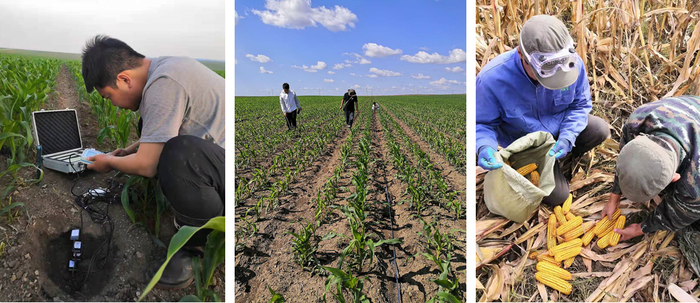 　　深蓝天地协同定标团队在田间工作