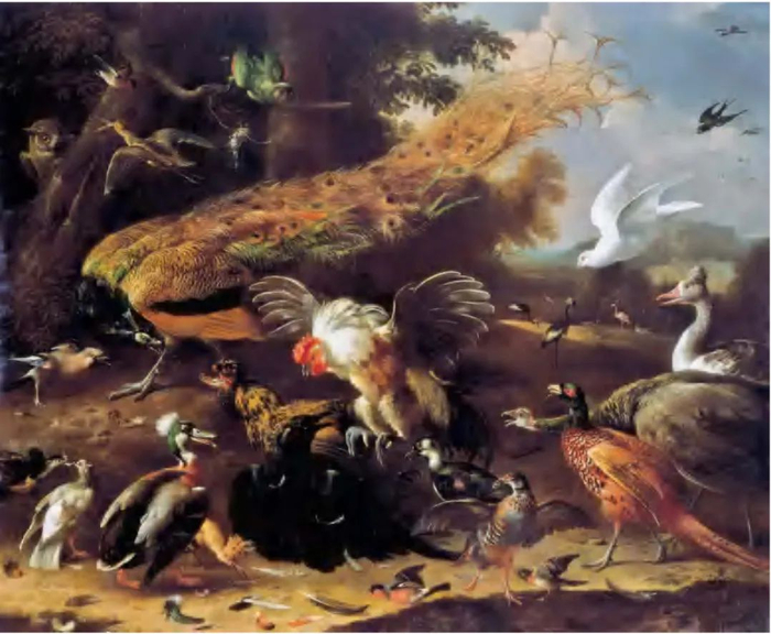 洪德库特尔《被揭穿的乌鸦》