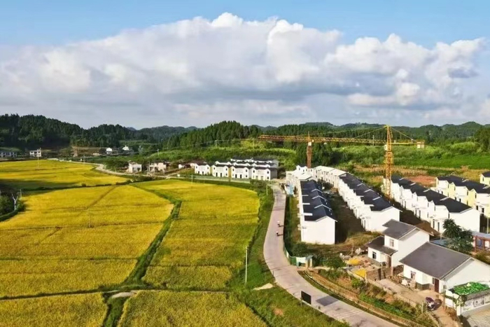 （图为遂宁市安居区海龙村一角）