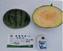 中心糖含量达15.8%