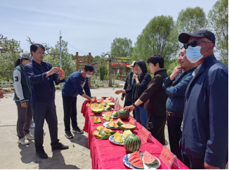 赏牡丹、吃西瓜