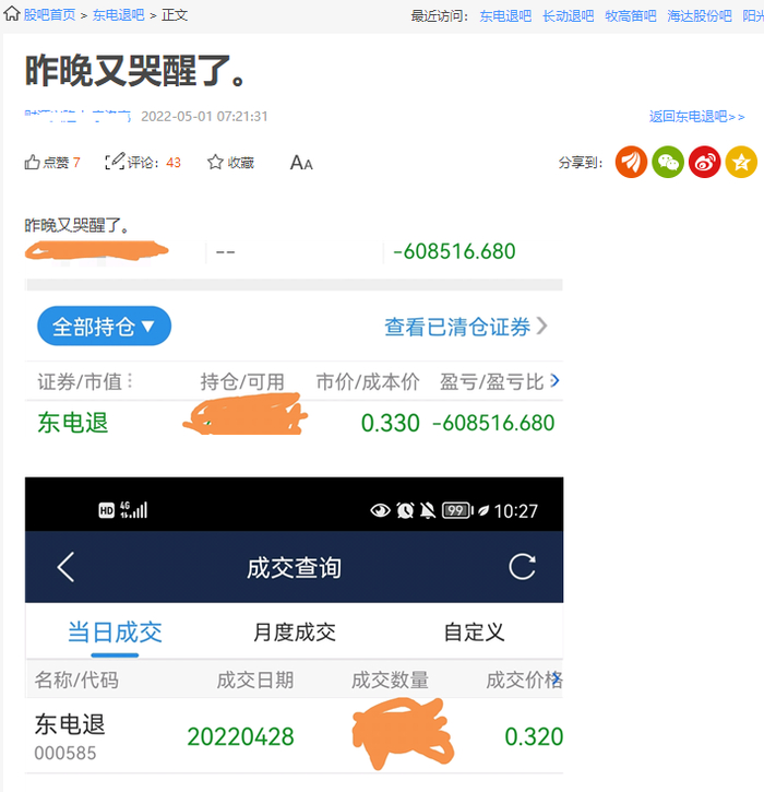 图片来源：东电退股吧截图