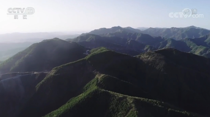 陇山。来源/纪录片《六盘山》截图