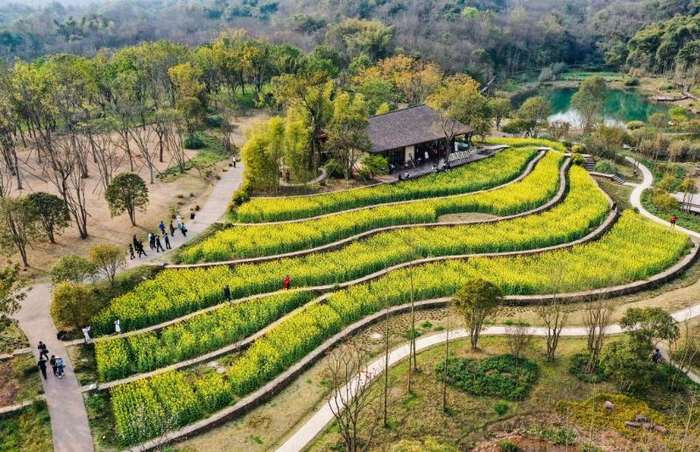 这是3月10日拍摄的重庆广阳岛一景（无人机照片）。新华社记者 王全超 摄