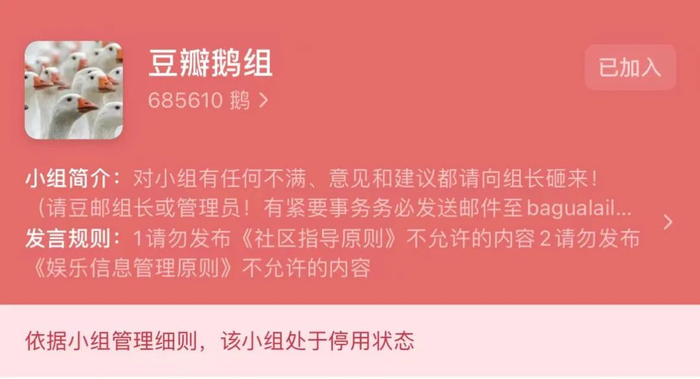 豆瓣鹅组界面，图/豆瓣