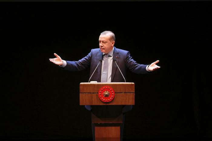 土耳其总统埃尔多安（资料图）