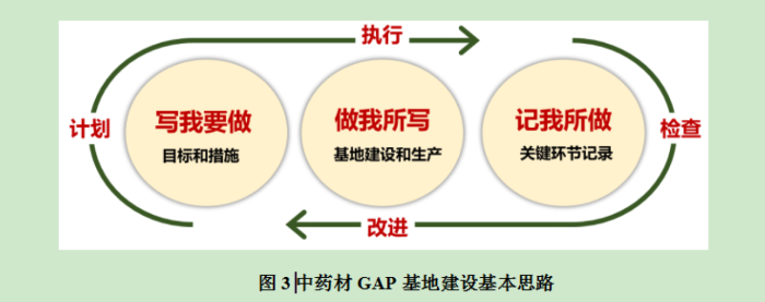 　　基地建设流程可分为规划、文件编写、选址与准备、生产管理与质量控制、内审与完善等阶段（图4）。