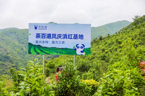 “茶百道凤庆滇红基地”现场图。
