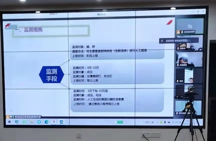 浦东新区林业站开展线上美国白蛾专题培训
