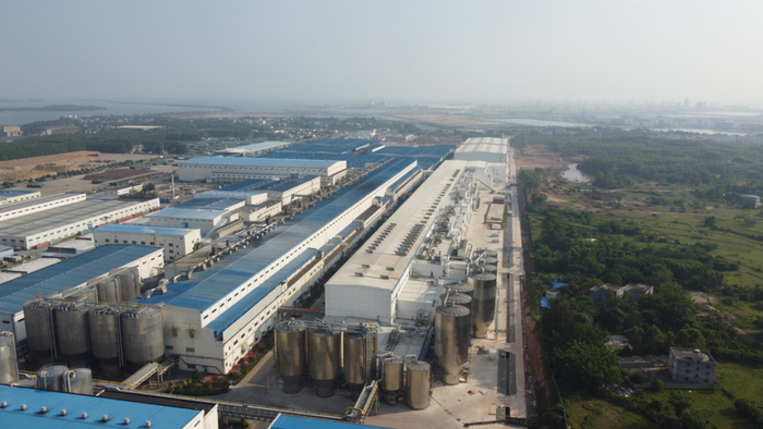 △金桂PM1和PM2两台纸机并驾齐驱