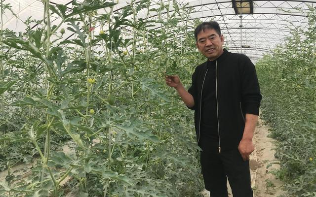 庞各庄老宋瓜园负责人宋绍堂/资料图