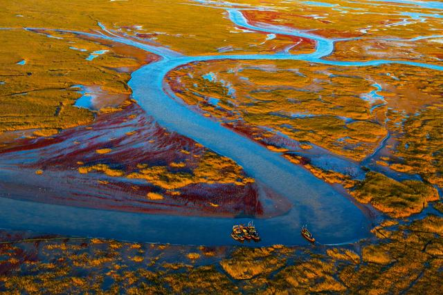 ▲航拍东营黄河口新生湿地。图/新京报资料图