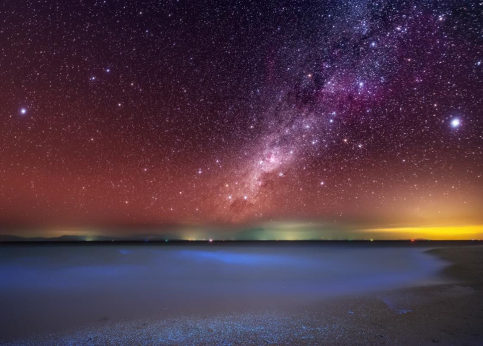 　　荧光海星空