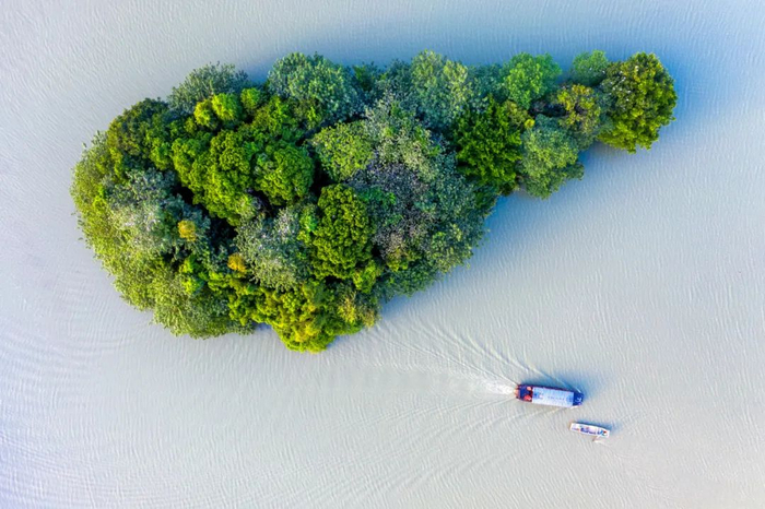 百鸟岛｜严艳影 摄影 ©