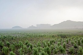 图7 “南红北柳”生态交错区