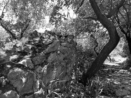 妙儿洼茶棚遗址 岳强 摄