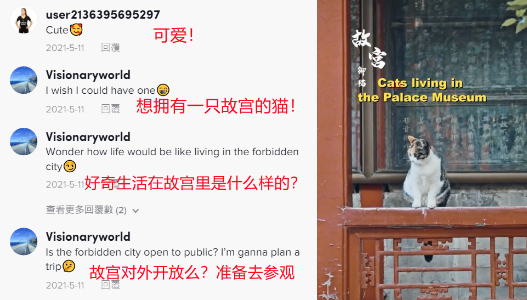 　　TikTok上的故宫御猫