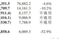 疫情冲击下 小米Q1利润下滑 低端芯片缺口1000万