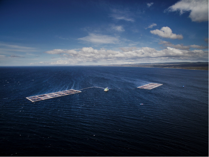 　　佳沃集团在智利的三文鱼渔场