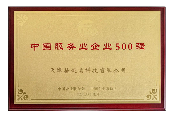 　　荣获2020中国服务业企业500强465名